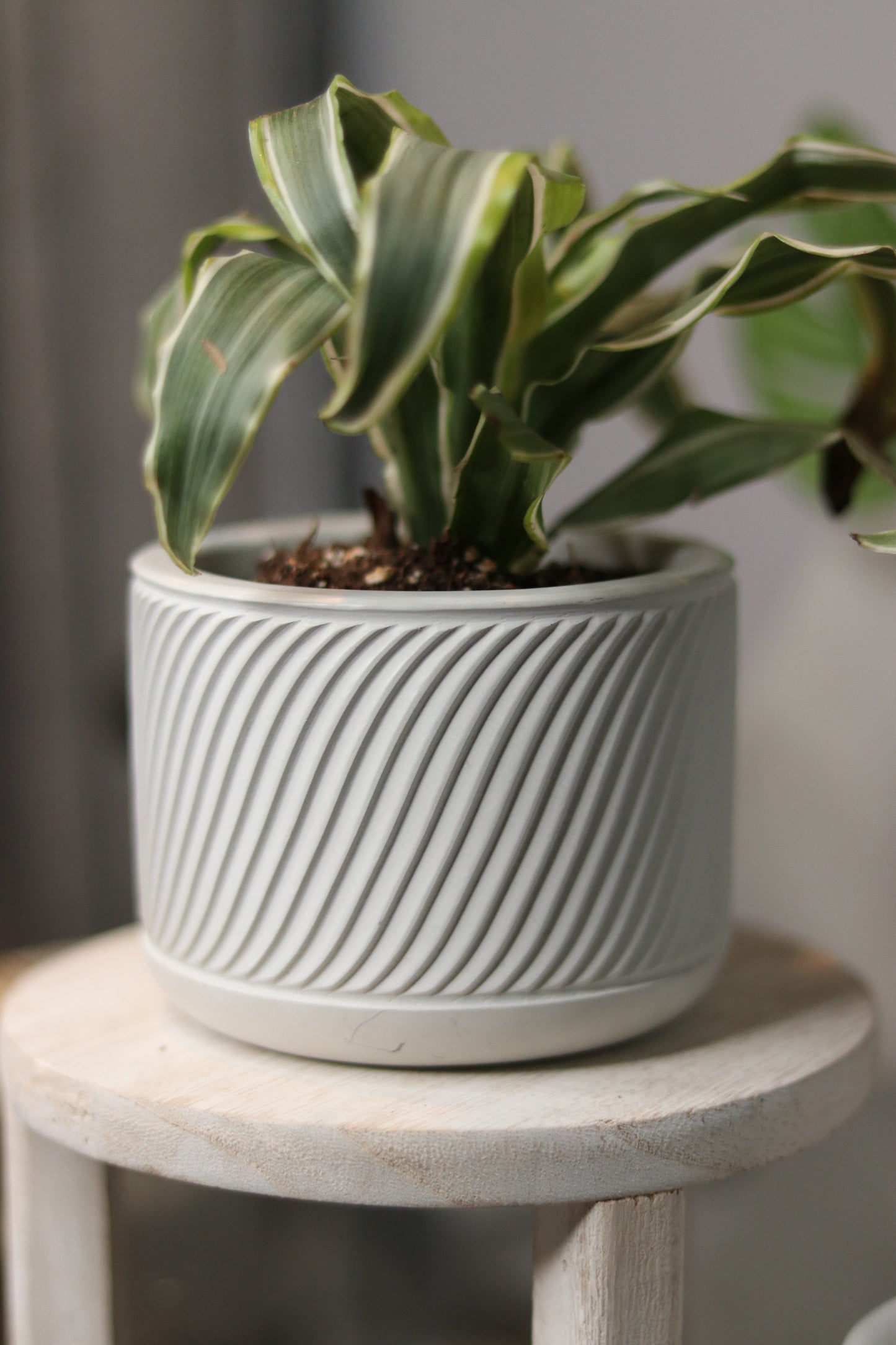 Small Planter with diagonal lines