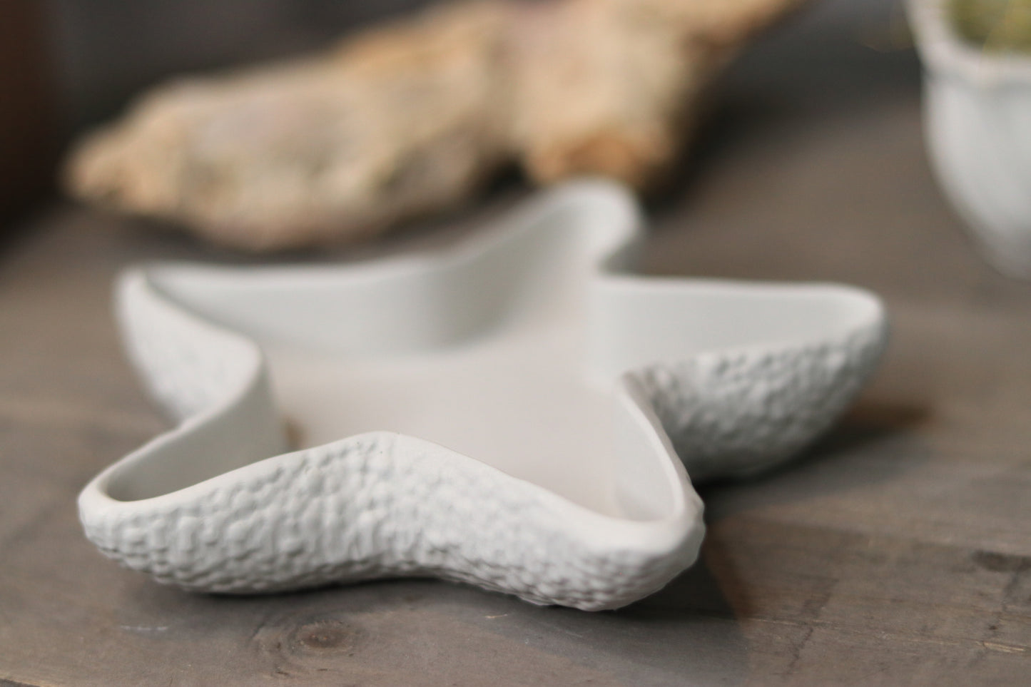 Starfish Dish