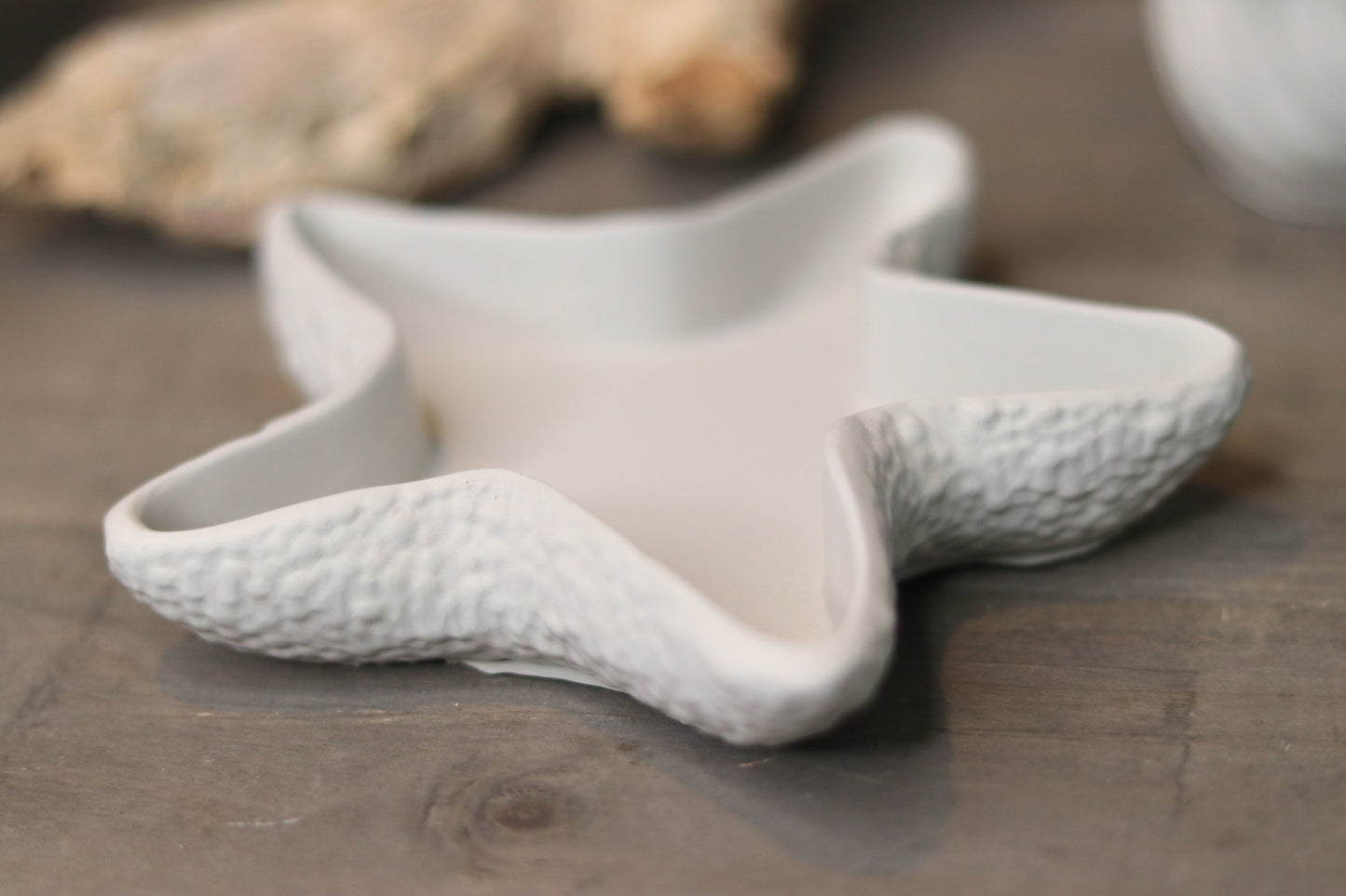 Starfish Dish