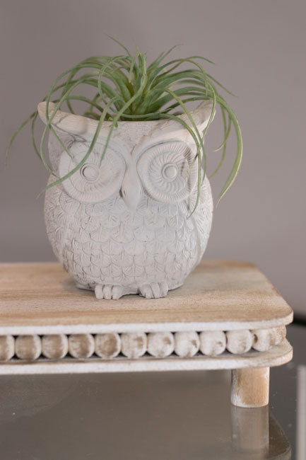 Cindy the owl Planter