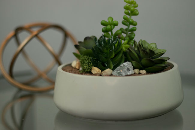 Large Cement Decorative bowl/Planter