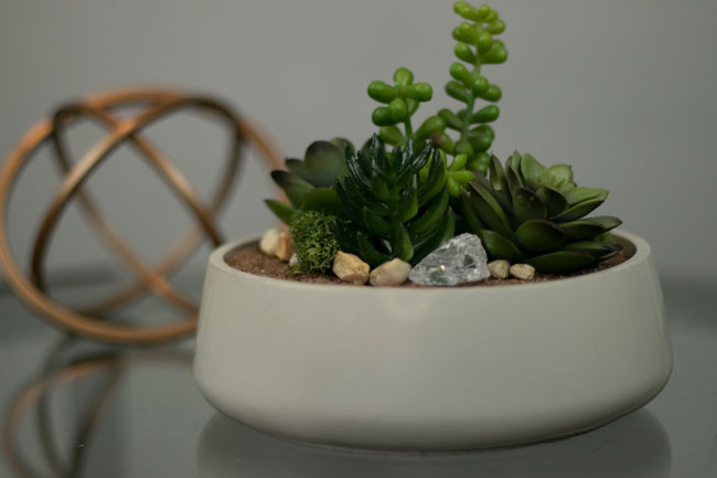 Large Cement Decorative bowl/Planter