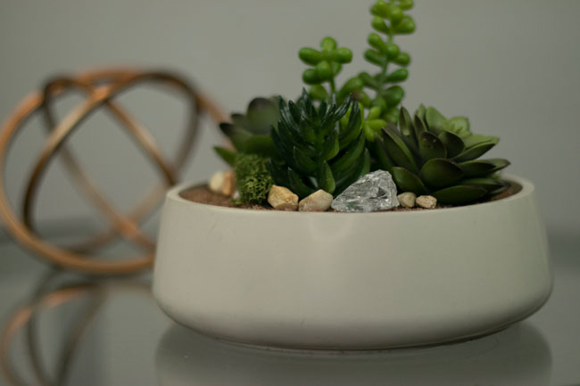 Large Cement Decorative bowl/Planter